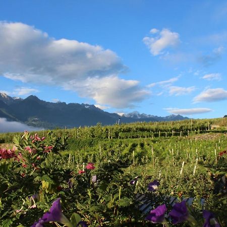 La Vita In Campagna Villa di Tirano Ngoại thất bức ảnh