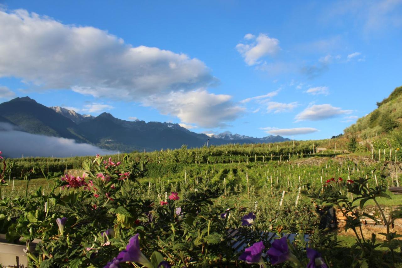 La Vita In Campagna Villa di Tirano Ngoại thất bức ảnh
