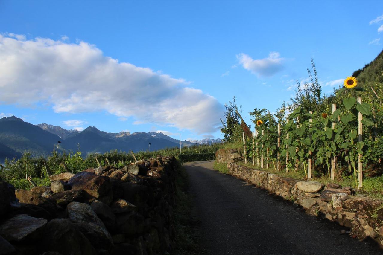 La Vita In Campagna Villa di Tirano Ngoại thất bức ảnh