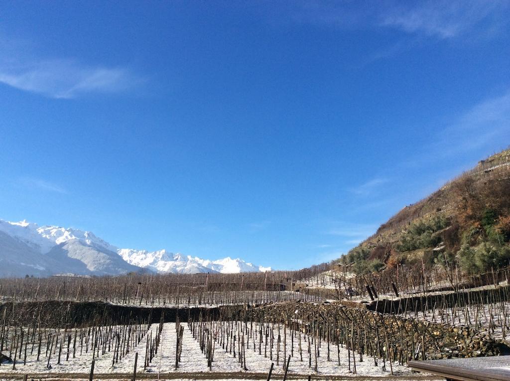 La Vita In Campagna Villa di Tirano Ngoại thất bức ảnh