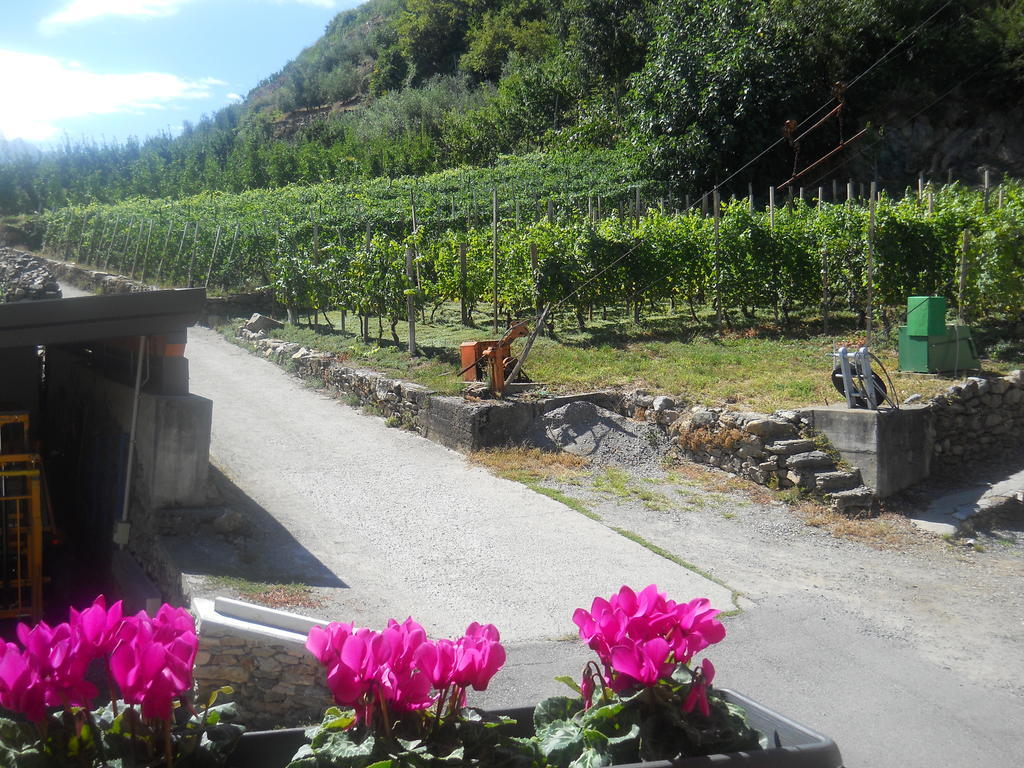La Vita In Campagna Villa di Tirano Ngoại thất bức ảnh