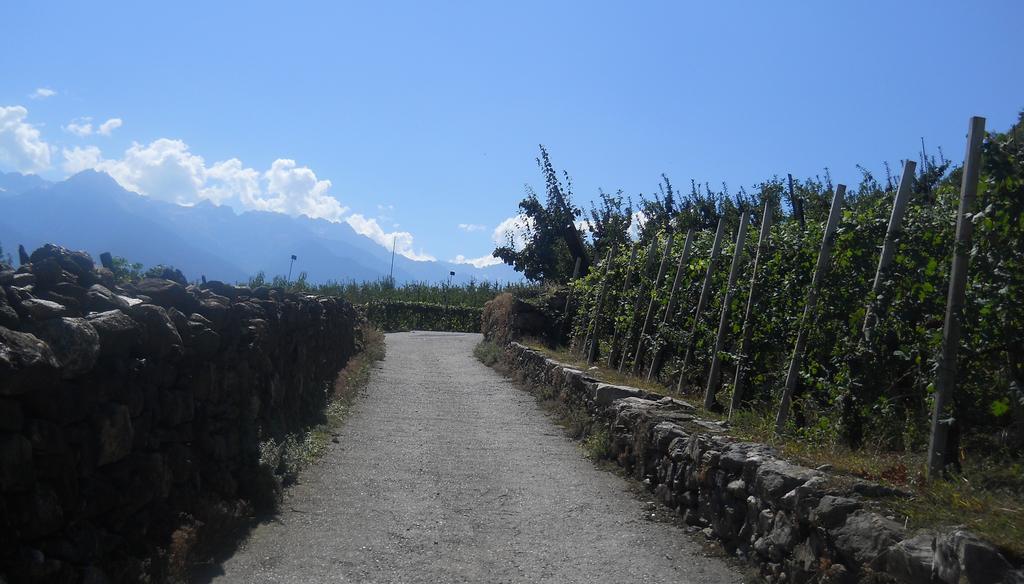 La Vita In Campagna Villa di Tirano Ngoại thất bức ảnh